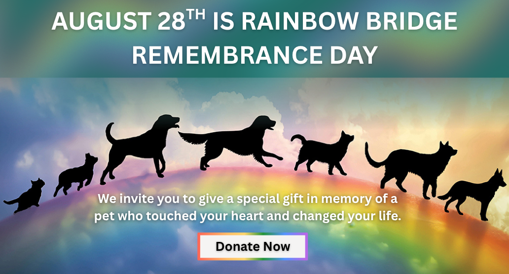 Silhouettes of dogs and cats walking across a rainbow in the clouds above the text, “August 28th is Rainbow Bridge Remembrance Day. We invite you to give a special gift in memory of a pet who touched your heart and changed your life. Donate now."